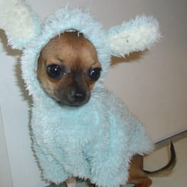 さちママさんの作品