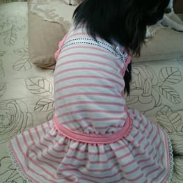 ひめママさんの作品