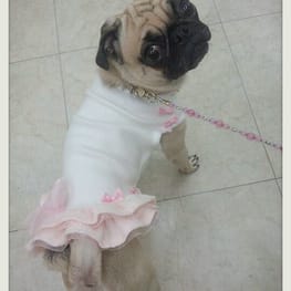 kurinさんの作品