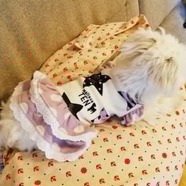 がっちゃんままさんの作品