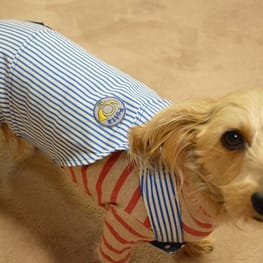 ひなはなさんの作品