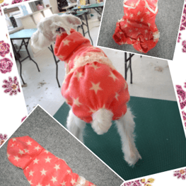 なべこさんの作品