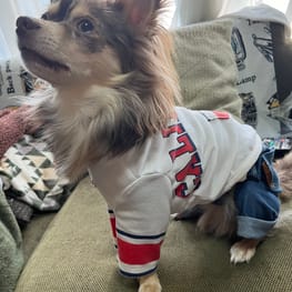 バッシーさんの作品