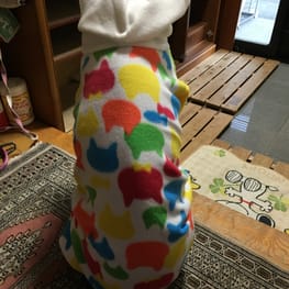 ぴょんさんの作品