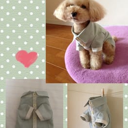 チハルさんの作品