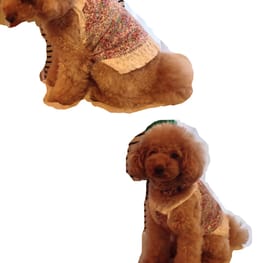 M・trueさんの作品