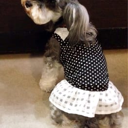 Dwarfさんの作品