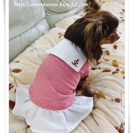 roncoさんの作品