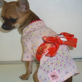 さちママさんの作品