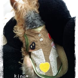 kino*さんの作品