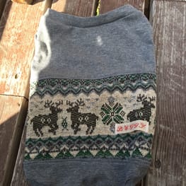 Aliceさんの作品