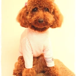 Lilyママさんの作品