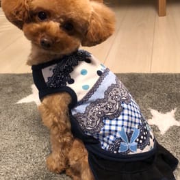 しのさんの作品