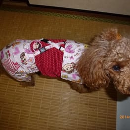 ちみこママさんの作品