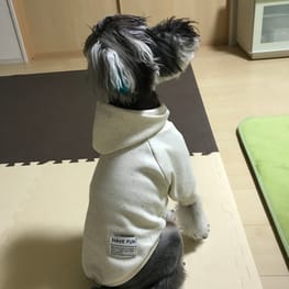 モクさんの作品