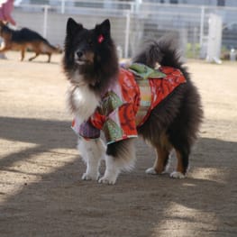 ちみこママさんの作品