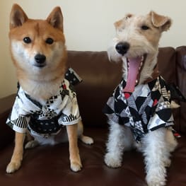 ナツ色さんの作品