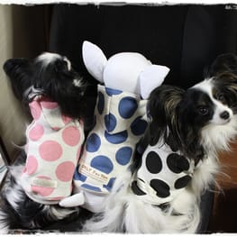 依音さんの作品