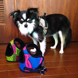 首輪・胴輪・リード/millacra / 愛犬のための犬服、ペット服の型紙通販