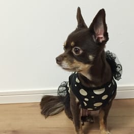 ゆずさんの作品