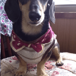 きよぽんさんの作品