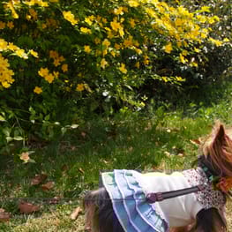 やすべえさんの作品