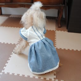 オブリガーダさんの作品