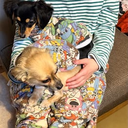 コテちゅさんの作品