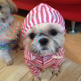 かよママさんの作品