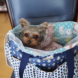 やすべえさんの作品