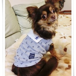 roncoさんの作品