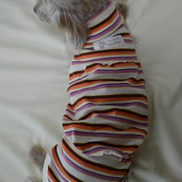 ひなはなさんの作品