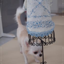 ひーさんの作品