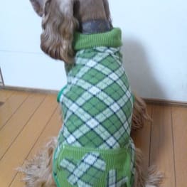 晴ママさんの作品