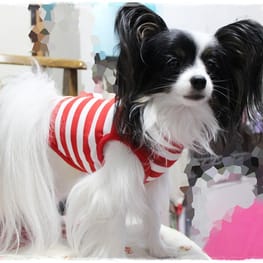 依音さんの作品