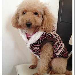 blancoさんの作品