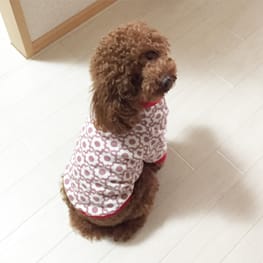 サクラさんの作品