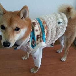 ナツ色さんの作品