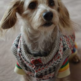 ひなはなさんの作品