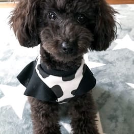 ちゃちゃさんの作品