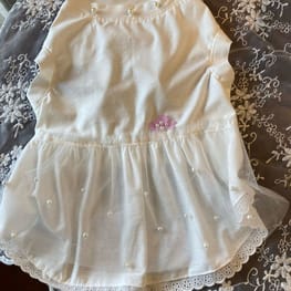 WKSchatzさんの作品