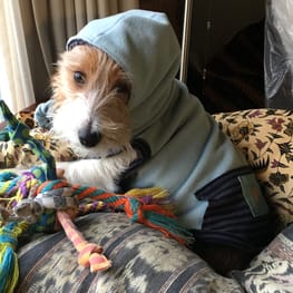 海うさぎさんの作品