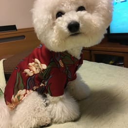 みちもこさんの作品