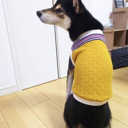 こたさんの作品