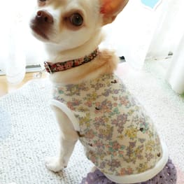 tenderwind+Kさんの作品