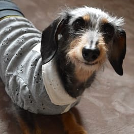 ひなはなさんの作品