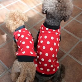 すずめさんの作品