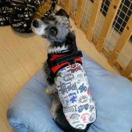 がっちゃんままさんの作品