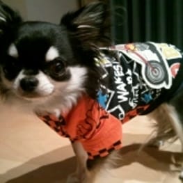 yunafuchiさんの作品