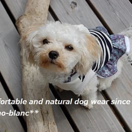 こむぎさんの作品